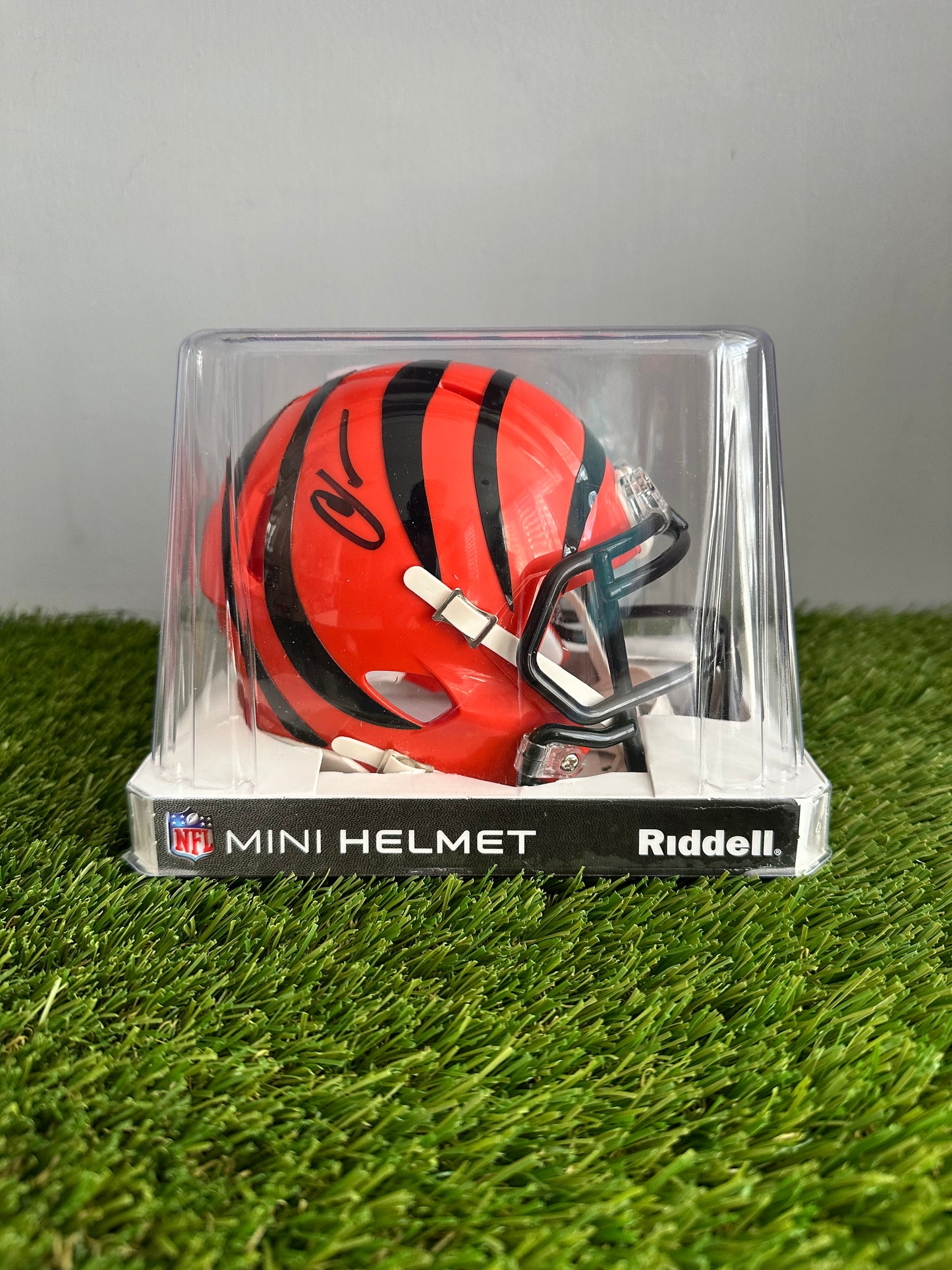 Chad Ochocinco | Cincinnati Bengals