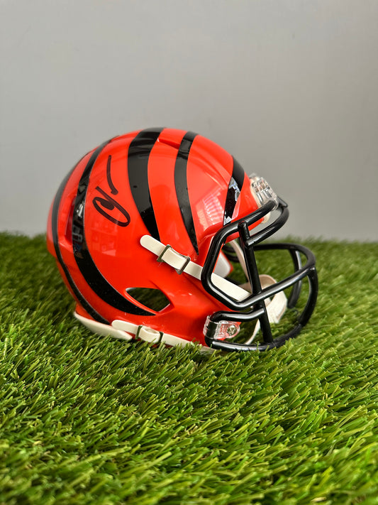 Chad Ochocinco | Cincinnati Bengals